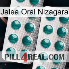 Nizagara Oral Jelly dapoxetine2